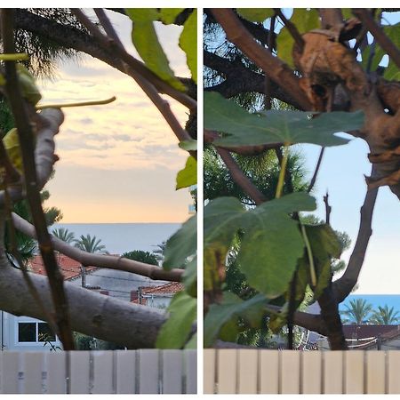 Detente Oceane S2 Proche De La Mer Wifi Clim Cagnes-sur-Mer Esterno foto