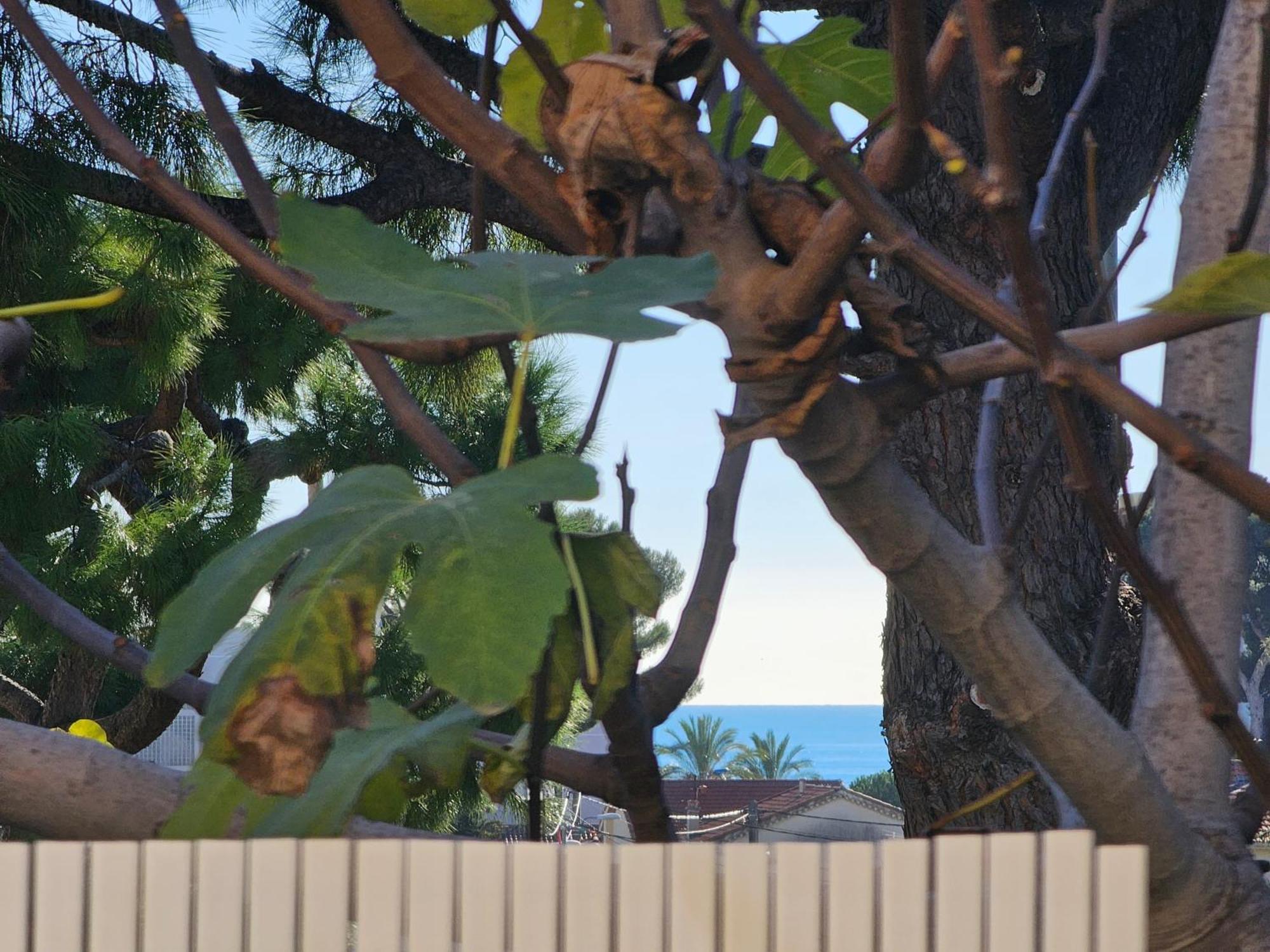 Detente Oceane S2 Proche De La Mer Wifi Clim Cagnes-sur-Mer Esterno foto