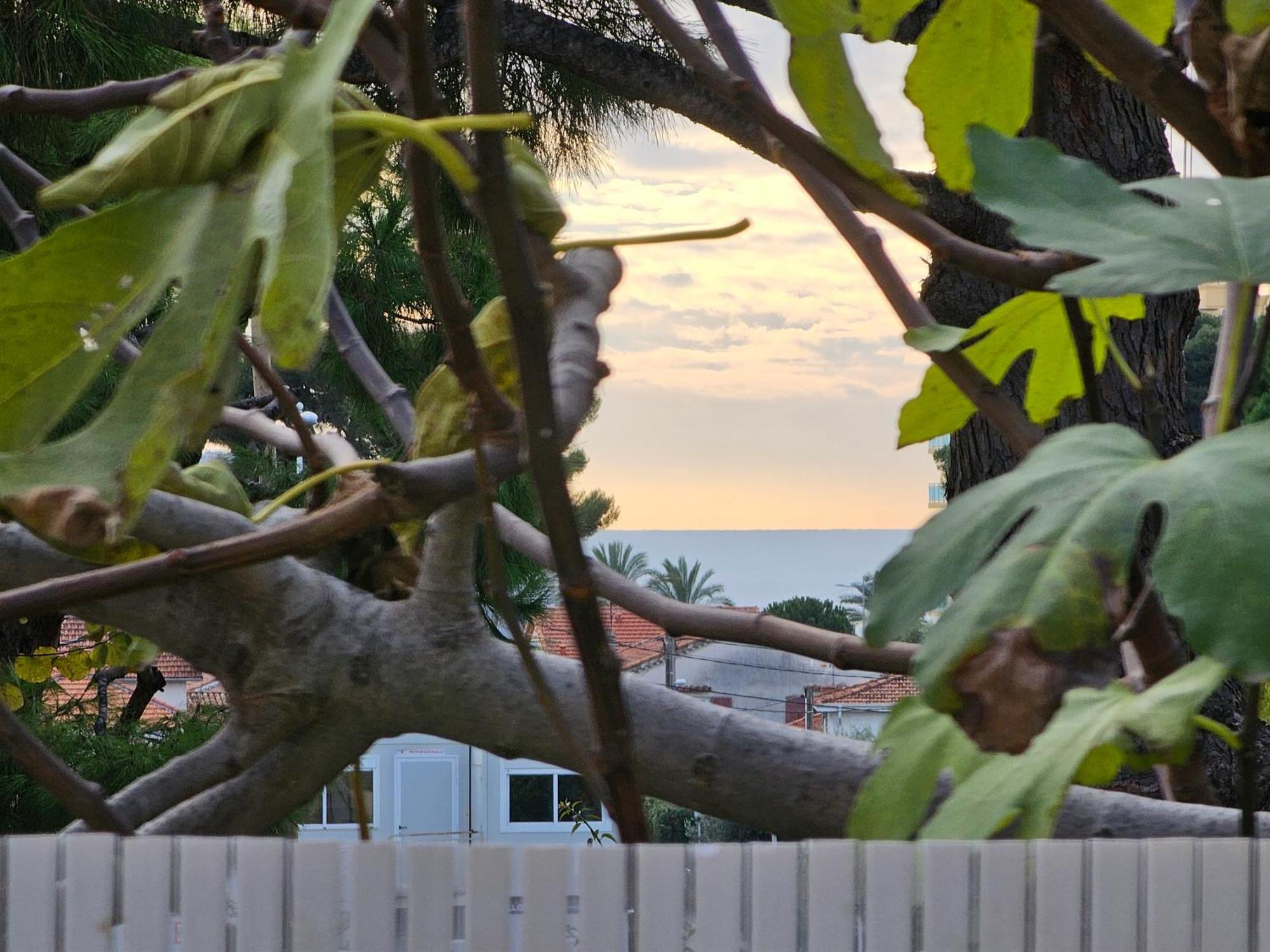 Detente Oceane S2 Proche De La Mer Wifi Clim Cagnes-sur-Mer Esterno foto